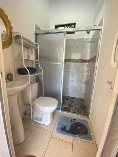 a bathroom with a shower and a toilet and a sink at Casa Zion in San Juanillo