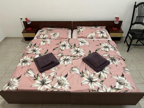 Apartments with parking space Novalja, Pag - 22963