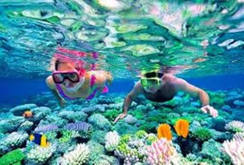 un par de personas nadando sobre un arrecife de coral en NEW Marina Vallarta Loft Pool BBQ Beach 5 mins, en Puerto Vallarta