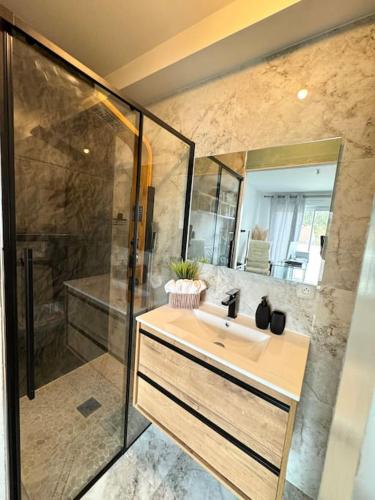 een badkamer met een wastafel en een douche bij La villa six_jml in Ris-Orangis