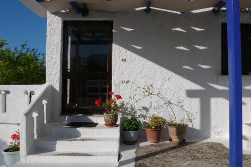a white house with potted plants on the stairs at Stefanos Garden in Arménoi