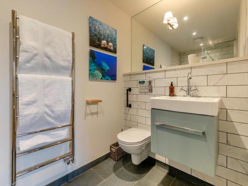 a bathroom with a toilet and a sink and a mirror at Long Commons in Saint Mawes