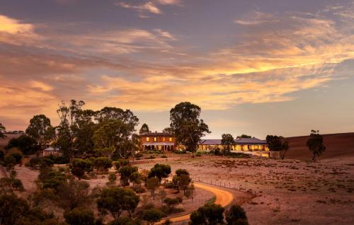 une maison au milieu d'un champ avec une route dans l'établissement Kingsford The Barossa, à Concordia
