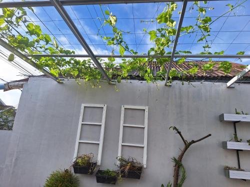 two windows on the side of a building with plants at Umah Bapak in Takengon