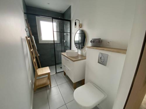 ein Badezimmer mit einem WC, einem Waschbecken und einem Spiegel in der Unterkunft Appartement Itxassou, 2 pièces, 3 personnes - FR-1-495-136 in Itxassou