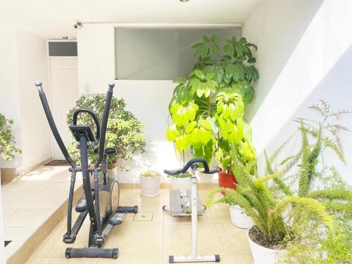 a room with two exercise bikes and plants at Ayli Apart Hotel in Arequipa