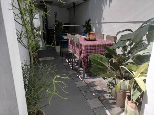 a patio with a table and some plants at GRIN MCFLY INTERNATIONAL BEACHFRONT GUEST HOUSE in Fuerte