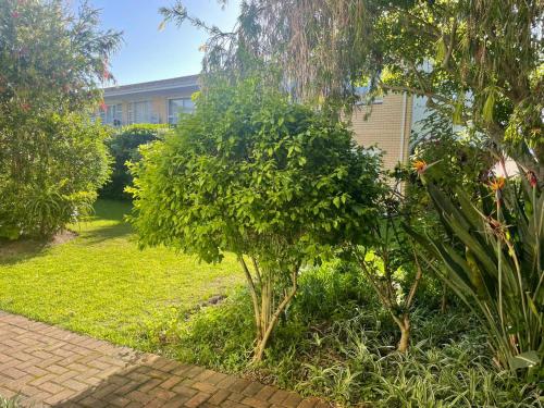 Zahrada ubytování One Dolphin