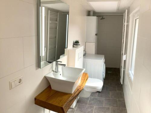 uma casa de banho com um lavatório, um WC e um espelho. em Clay house with sauna em Tangermünde