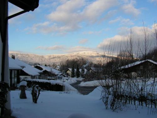 a snow covered village with mountains in the background at Barbara Hintermair Comfortable holiday residence in Bischofsmais
