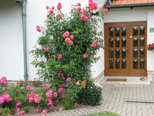 a bush of pink roses in front of a door at Rose ambience Modern retreat in Bad Langensalza