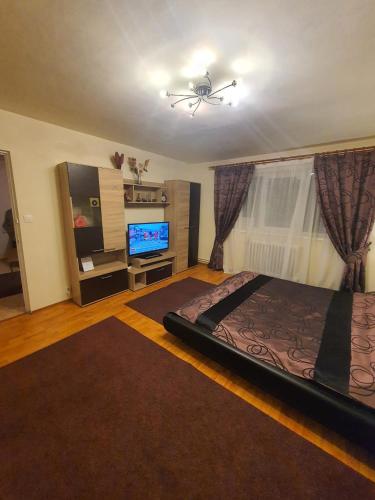 a bedroom with a bed and a flat screen tv at Cetate Apartament in Alba Iulia