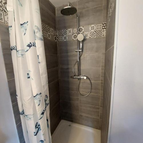 een douche in een badkamer met een douchegordijn bij Les hortensias in Bourbonne-les-Bains