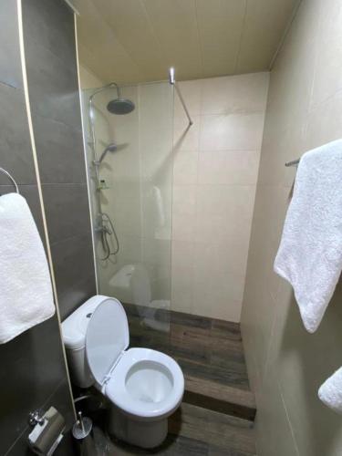 a bathroom with a toilet and a shower with towels at The Friends in Yerevan