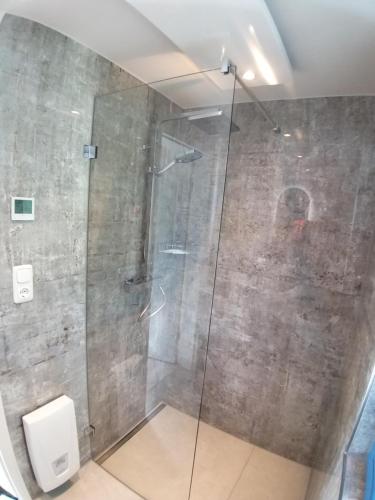 a shower with a glass door in a bathroom at Reethaus im Ostseebad Trassenheide in Trassenheide