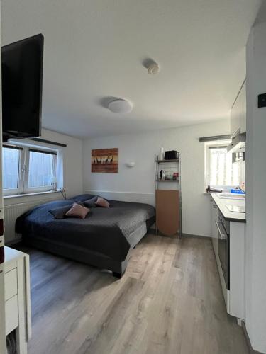 1 dormitorio con 1 cama y TV de pantalla plana en ruhige Sout. Whg. Feldrandnähe en Seligenstadt
