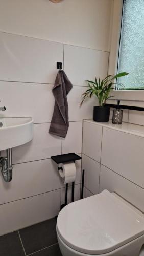 a bathroom with a toilet and a sink and a plant at Zentrale Ferienwohnung direkt am Bergmannsheil mit Parkplatz & WLAN in Bochum