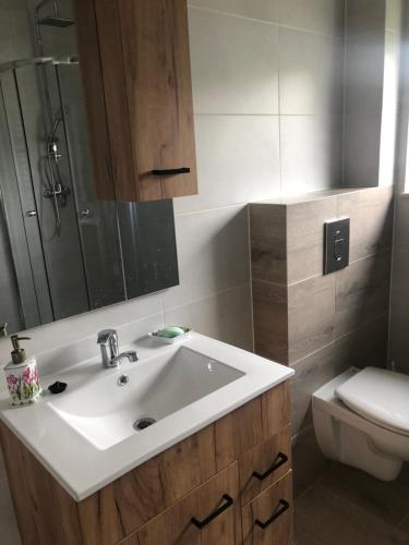 uma casa de banho com um lavatório branco e um WC. em Przy wiadukcie em Tarnów