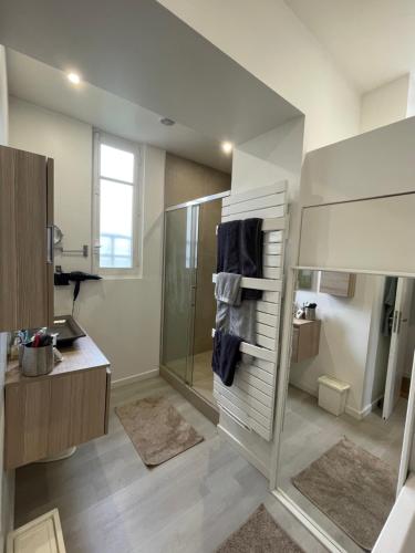 La salle de bains est pourvue d'une douche et d'une cabine de douche en verre. dans l'établissement Logement en Hôtel Particulier à 3mns de Paris et de 3 sites olympiques avec grand jardin et Jacuzzi, à Boulogne-Billancourt