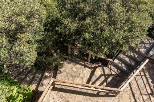 an overhead view of a wooden bench under a tree at Coastal Dream beachView Jacuzzi& sauna free parking WiFi 2 bedroom in Amoudara Lasithiou