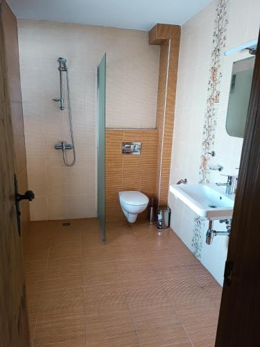 a bathroom with a shower and a toilet and a sink at Villa Victoria in Stoykite