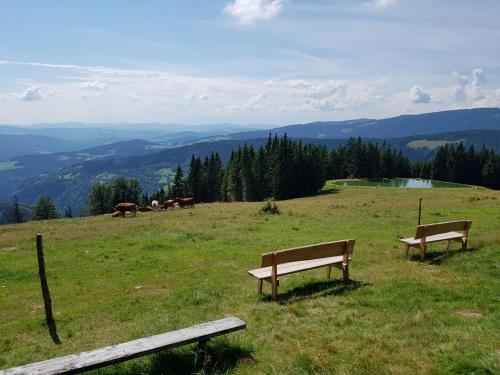 two benches sitting on top of a grassy hill at Urlaub am Glatzl Bauernhof in Sankt Lorenzen am Wechsel