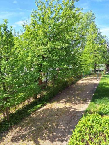 a dirt road with trees in a park at Duna Garden Hotel in Budapest