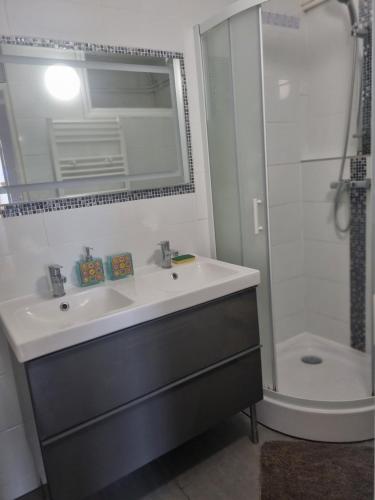 a bathroom with a sink and a shower at 5 pièces traversant proche paris in Poissy