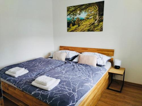 1 dormitorio con 1 cama con 2 almohadas en Horský apartmán Karlovice en Karlovice