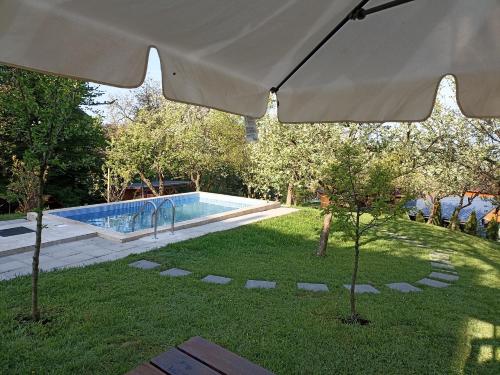 una piscina en un patio con sombrilla en Pension Verde, en Baia-Sprie
