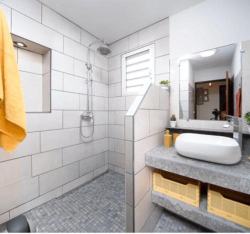 W łazience znajduje się umywalka i prysznic. w obiekcie Le logis du passant w Rivière