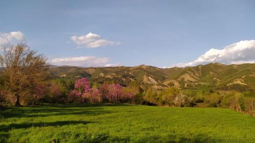 un campo verde con montañas al fondo en Spring Village Home, en Përmet