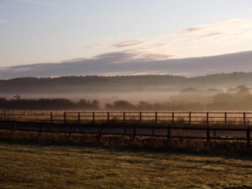 a foggy field with a fence and a road at Chapter Farm Cottages in Canterbury