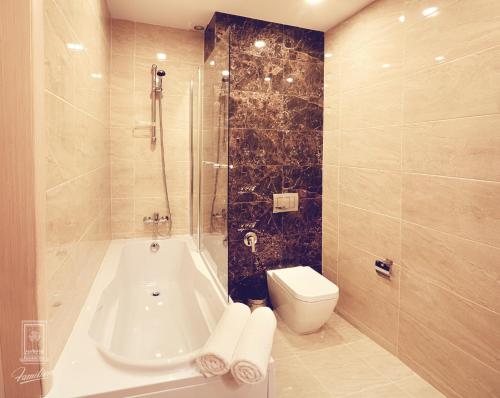 a bathroom with a shower and a tub and a toilet at Familion ApartHotel in Chişinău