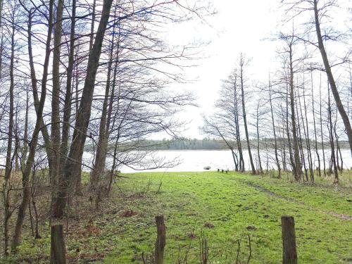 a field next to a body of water with trees at Mazury Apartament/Dom z ogródkiem całoroczny przy jeziorze in Sędańsk