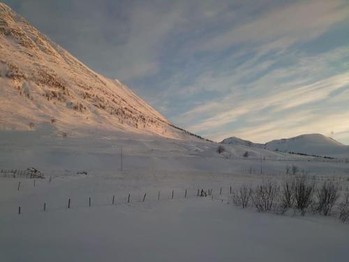 Russelv panorama om vinteren