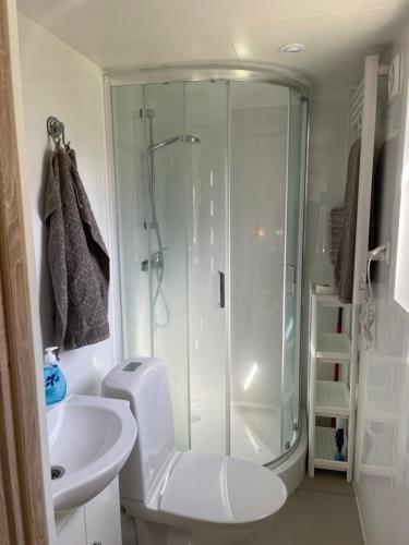 a bathroom with a shower and a toilet and a sink at Tiny house Lund in Lund