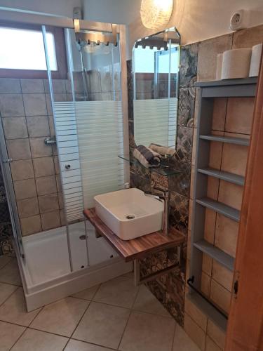 een badkamer met een wastafel en een douche bij Veronika Panoráma Villa in Paloznak