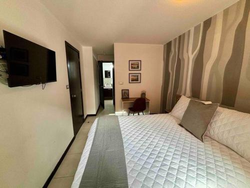 een slaapkamer met een groot bed en een flatscreen-tv bij Nice Apartment in Zone 4 in Guatemala