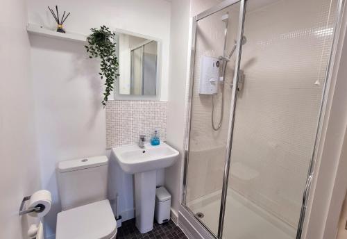 uma casa de banho com um WC, um lavatório e um chuveiro em No.15 Fivedom - Luxury apartment em Southampton