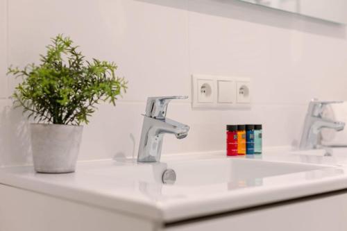 a bathroom sink with two faucets and a potted plant at Huswell - Comfortable 2 bedroom apartment with sea-view in Knokke-Heist