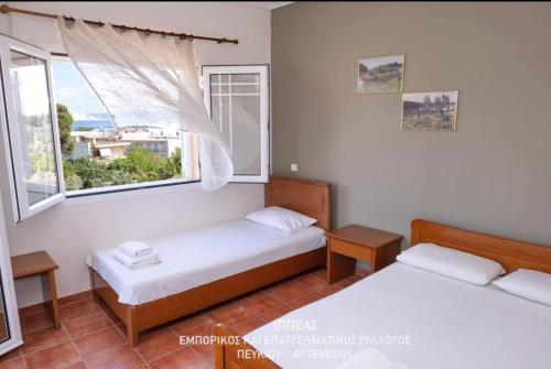 1 Schlafzimmer mit 2 Betten und einem Fenster in der Unterkunft ΚΩΝΣΤΑΝΤΙΝΟΣ in Pefki