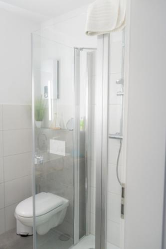 a bathroom with a shower with a toilet and a sink at Ferienwohnungen Schierbaum in Lembruch