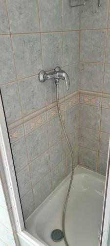 a shower with a shower head in a bathroom at Rezidence Lipka in Králíky