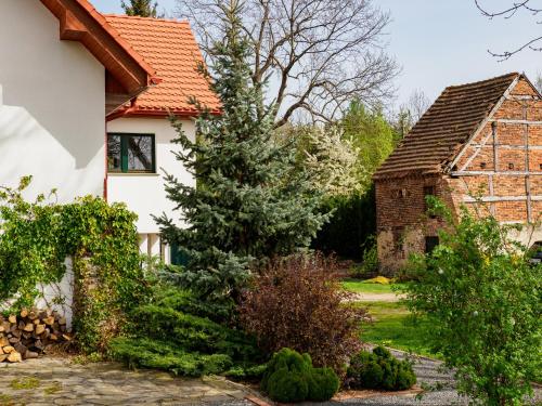 a house with a tree in the yard at Płonica 1 in Złoty Stok