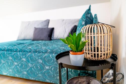a blue couch with a bird cage and a plant on a table at Kníže Ferdinand Apartments in Mikulov