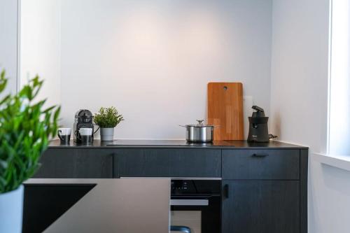 イーペルにあるHuswell - Pleasant apartment in the center of Ypresのキッチン(植物の入った黒いカウンタートップ付)