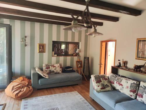 a living room with two blue couches and striped walls at Cvjetna oaza in Višegrad
