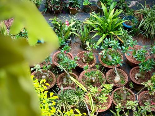 Gallery image of Gloria Homestay ,Thrissur in Trichūr