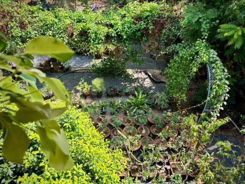 Gallery image of Gloria Homestay ,Thrissur in Trichūr